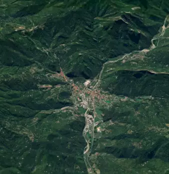 Foto annuncio 8