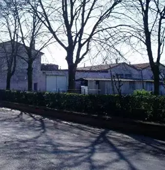 Foto annuncio 6