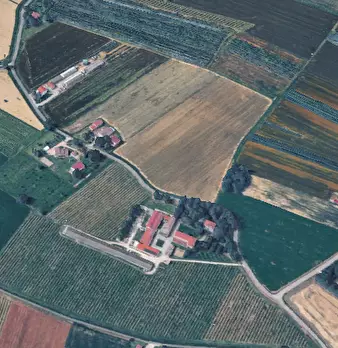 Foto annuncio 7