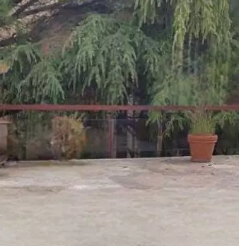 Foto annuncio 6