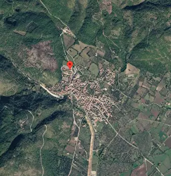 Foto annuncio 13