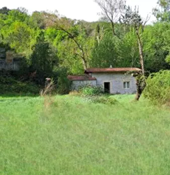 Foto annuncio 1