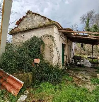 Foto annuncio 5