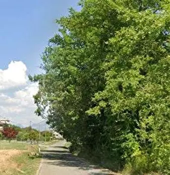 Foto annuncio 9