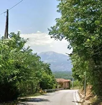 Foto annuncio 7