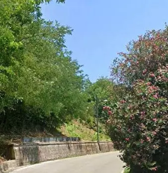 Foto annuncio 8
