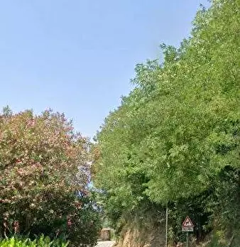 Foto annuncio 10