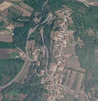 Foto annuncio 12