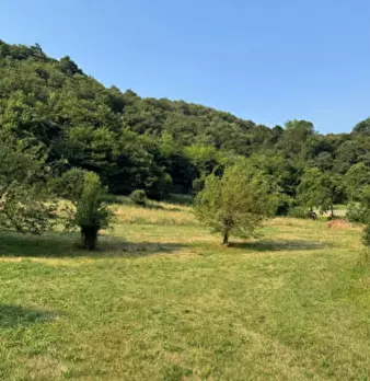 Foto annuncio 10