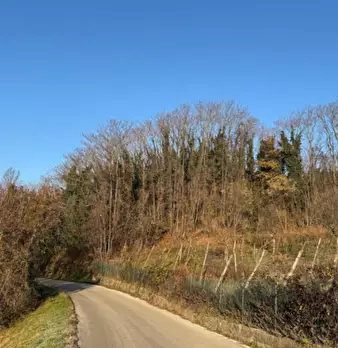 Foto annuncio 2