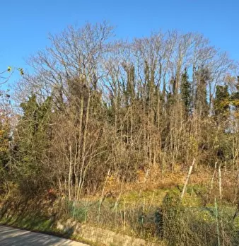 Foto annuncio 3