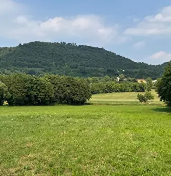 Foto annuncio 2