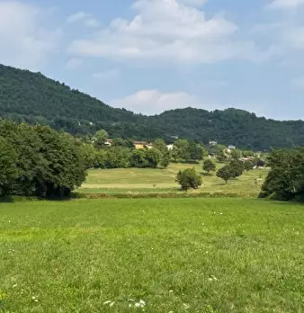 Foto annuncio 4