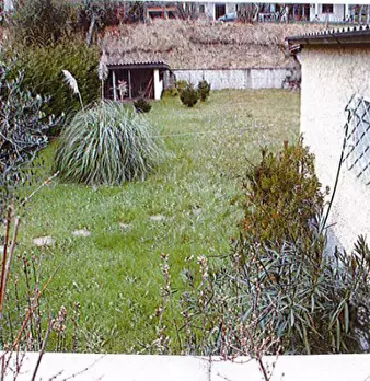 Foto annuncio 8