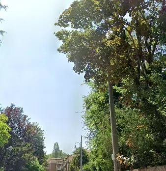 Foto annuncio 3