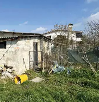 Foto annuncio 4