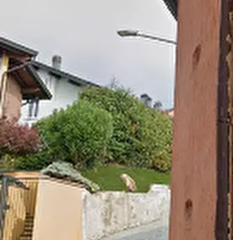 Foto annuncio 6