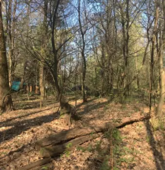 Foto annuncio 2