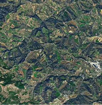 Foto annuncio 17