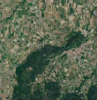 Foto annuncio 6
