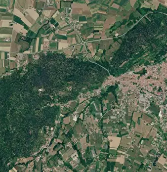 Foto annuncio 7