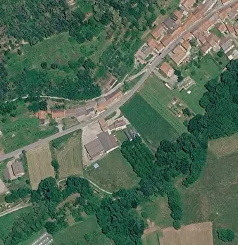 Foto annuncio 10