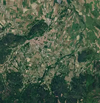 Foto annuncio 9