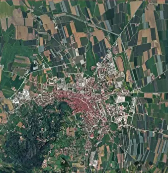 Foto annuncio 7