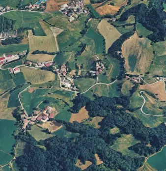 Foto annuncio 9