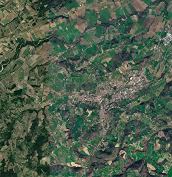 Foto annuncio 6
