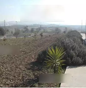 Foto annuncio 7
