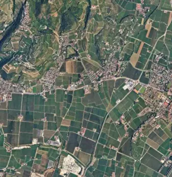 Foto annuncio 11