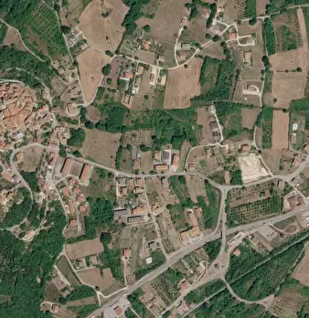 Foto annuncio 18