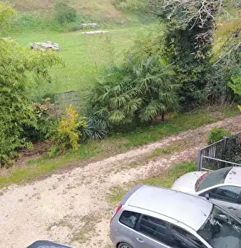 Foto annuncio 8