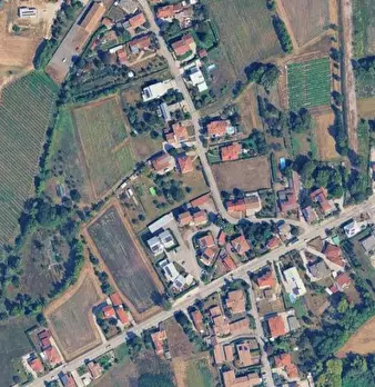 Foto annuncio 11