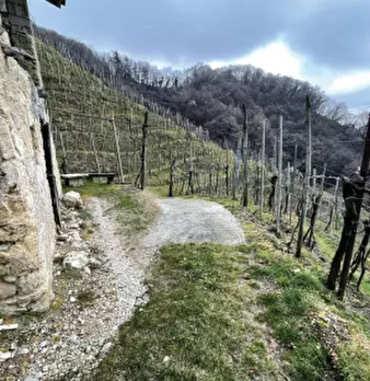 Foto annuncio 3