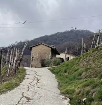 Foto annuncio 6