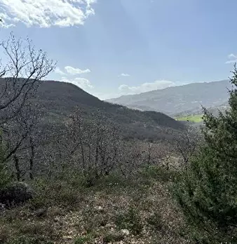 Foto annuncio 8