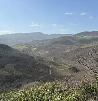 Foto annuncio 7