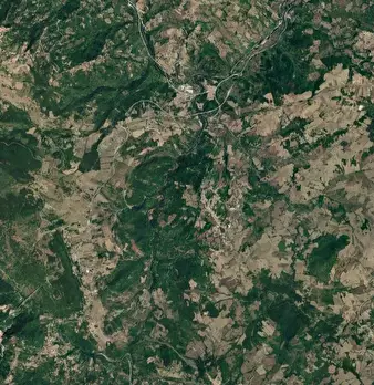 Foto annuncio 10