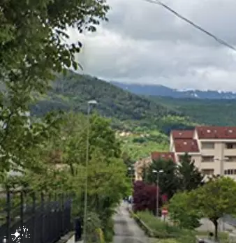 Foto annuncio 10