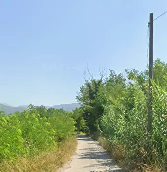 Foto annuncio 5