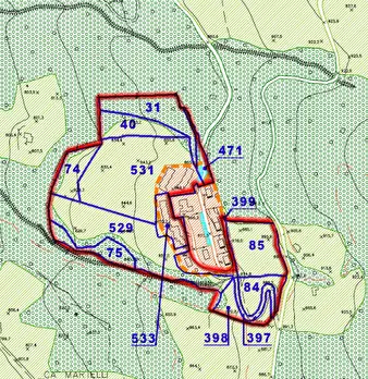 Foto annuncio 14