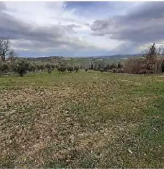 Foto annuncio 1