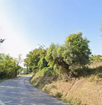Foto annuncio 4