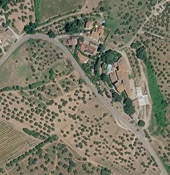 Foto annuncio 21