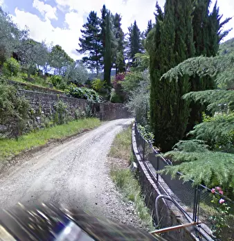 Foto annuncio 19