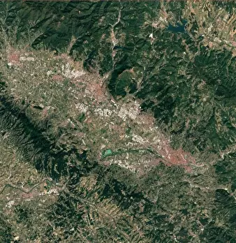 Foto annuncio 12