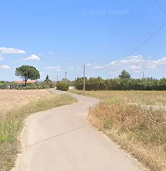 Foto annuncio 10