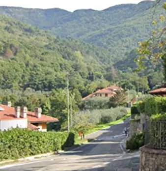 Foto annuncio 10